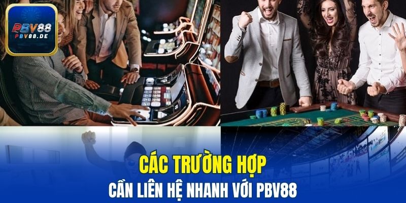 Các trường hợp cần liên hệ nhanh với PBV88