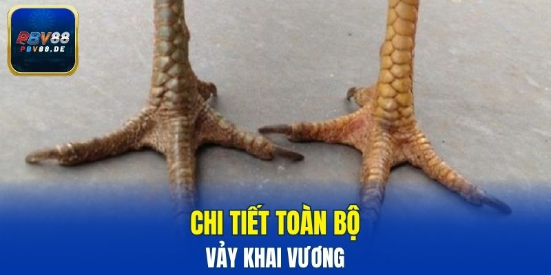 Chi tiết toàn bộ về vảy khai vương