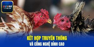 Đá gà Campuchia