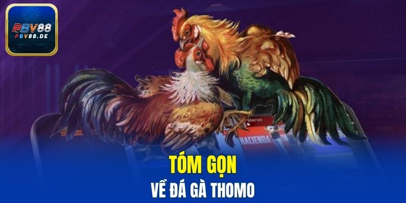 Tóm gọn về đá gà Thomo