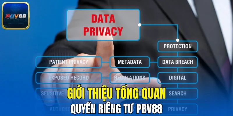 Giới thiệu tổng quan về quyền riêng tư PBV88
